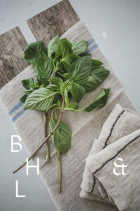 Thai basil on white plate with natural linen