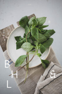 Thai basil on white plate with natural linen