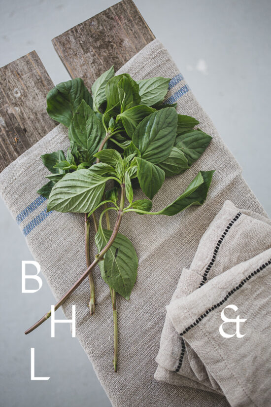 Food photography of thai basil on a white ceramic plate with natural tones towels on a bench