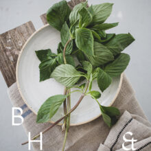 Food photography of thai basil on a white ceramic plate with natural tones towels on a bench