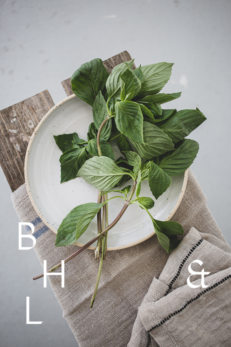 Food photography of thai basil on a white ceramic plate with natural tones towels on a bench