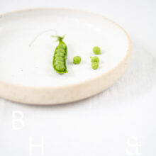 Food photography of a pea pod on a white plate on a white table clove in perspective