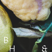 Food photography of lemons and lemon leaves on a black plate set on a black table