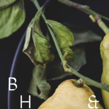 Food photography of lemons and lemon leaves on a black plate set on a black table