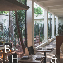 Culinary stories and food photography with interior and the garden view at Restaurant Criollo in Oaxaca