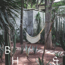 Culinary stories and food photography with interior and the garden at Restaurant Criollo in Oaxaca