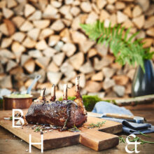 hirsch-ruecken-03-09-2016-neon-fotografie Food photography of deer back cooked by Michelin star chef Harald Rüssel