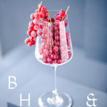 Food photography of frozen currants in a frozen glas on a light blue background