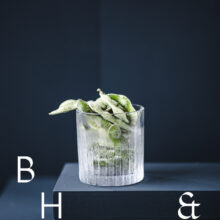 Food photography of frozen edamame in a frozen glas on a dark blue background