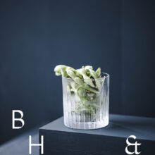 Food photography of frozen edamame in a frozen glas on a dark blue background