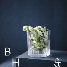 Food photography of frozen edamame in a frozen glas on a dark blue background