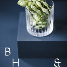 Food photography of frozen edamame in a frozen glas on a dark blue background