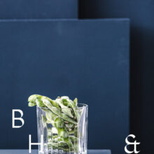 Food photography of frozen edamame in a frozen glas on a dark blue background