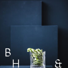 Food photography of frozen edamame in a frozen glas on a dark blue background