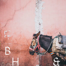 Afrika, Aussenaufnahmen, Calm, City, Color, Colorful, Culture, Farbe, Farbig, Hell, Kulture, Light, Marokko, Marrakech, Marrakesch, Outdoor, Ruhe, Stadt, Urban