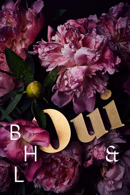 Flower photography pink peonies for licensing