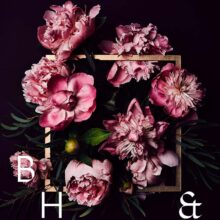 Flower photography pink peonies for licensing