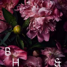 Flower photography pink peonies for licensing