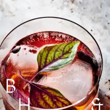 Close Up and Detail shot of Basel Negroni Cocktail Drinks photography available as license